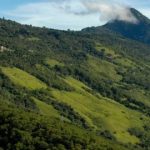 Salario del Encargado de Fomento de la Cultura de Paz en El Salvador: Lo que Necesitas Saber